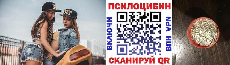 Галлюциногенные грибы Psilocybine cubensis  Цивильск 